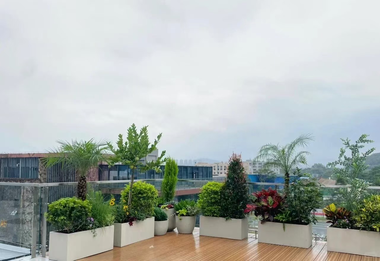 上海植物租赁